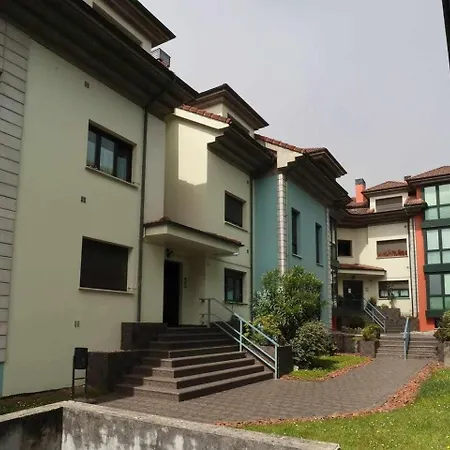 Pelicano يانس